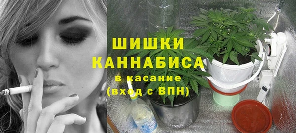 гидропоника Новозыбков