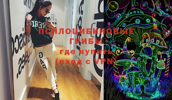 гидропоника Новозыбков