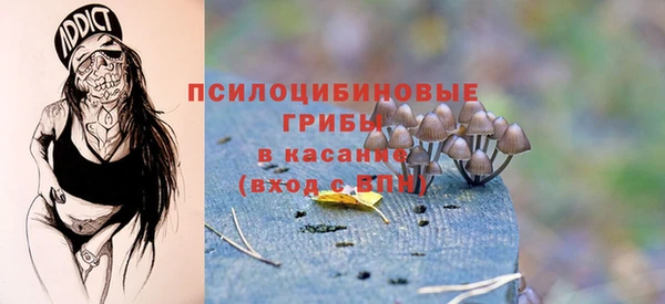 дурь Новокубанск